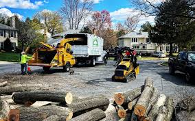 Best Tree Mulching  in Timnath, CO